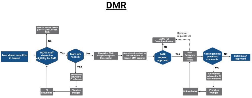 Designated Member Review Process Flow Chart