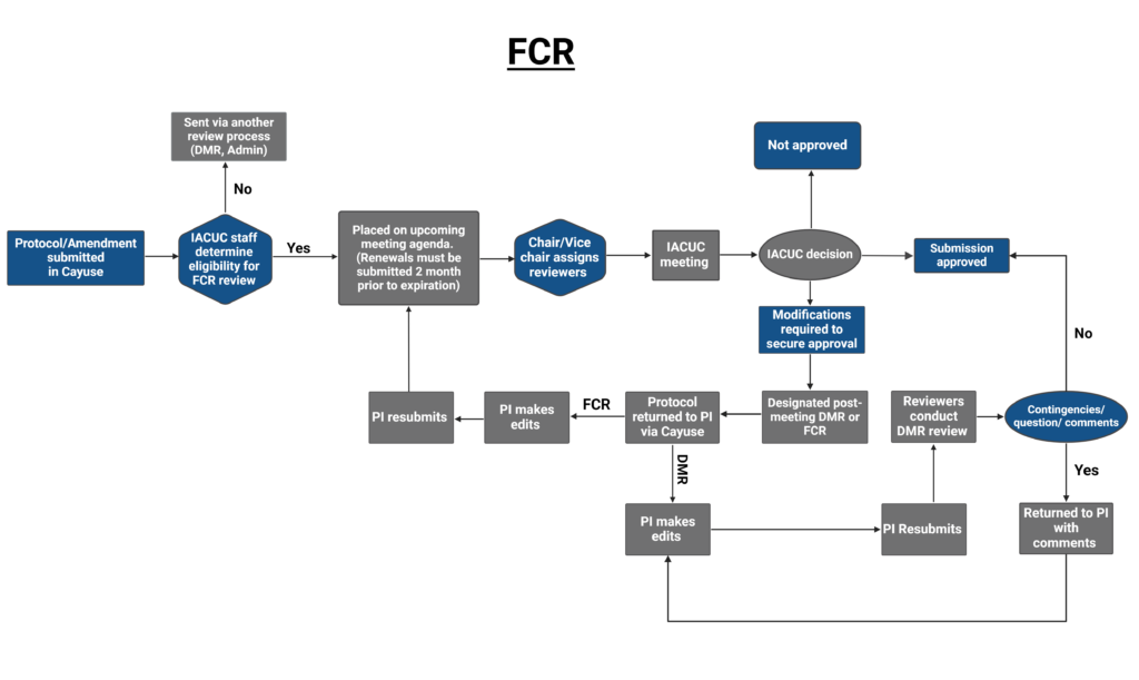 Full Committee Review flow chart